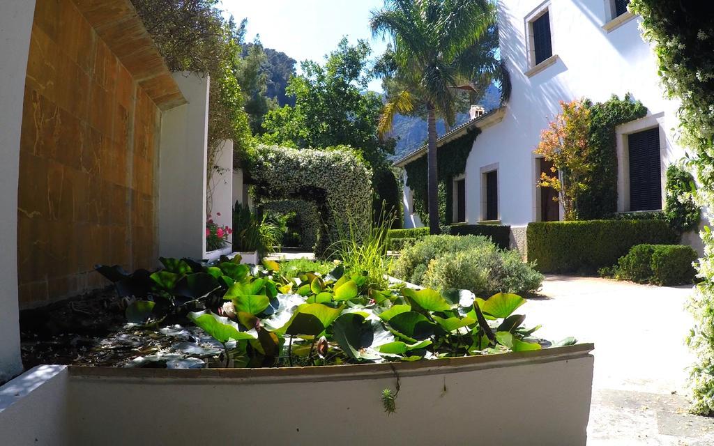 Farm stay Alfabia Nou