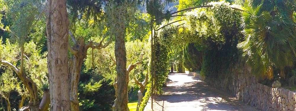 Alfabia Nou Farm stay
