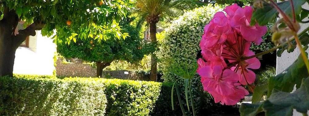 Alfabia Nou Farm stay Bunyola