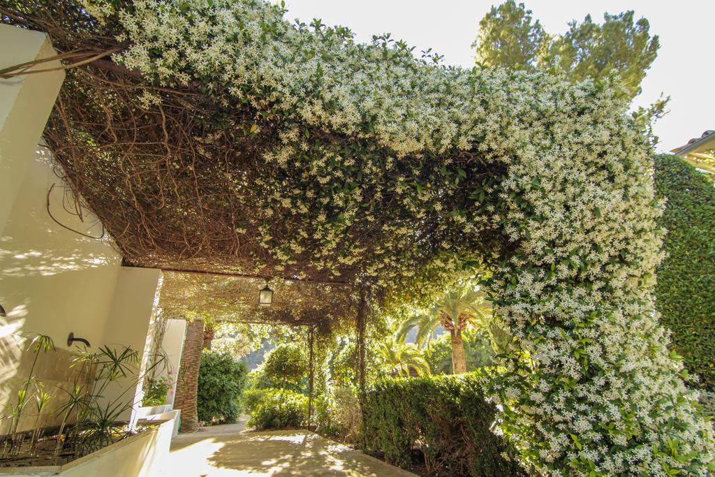 Farm stay Alfabia Nou *