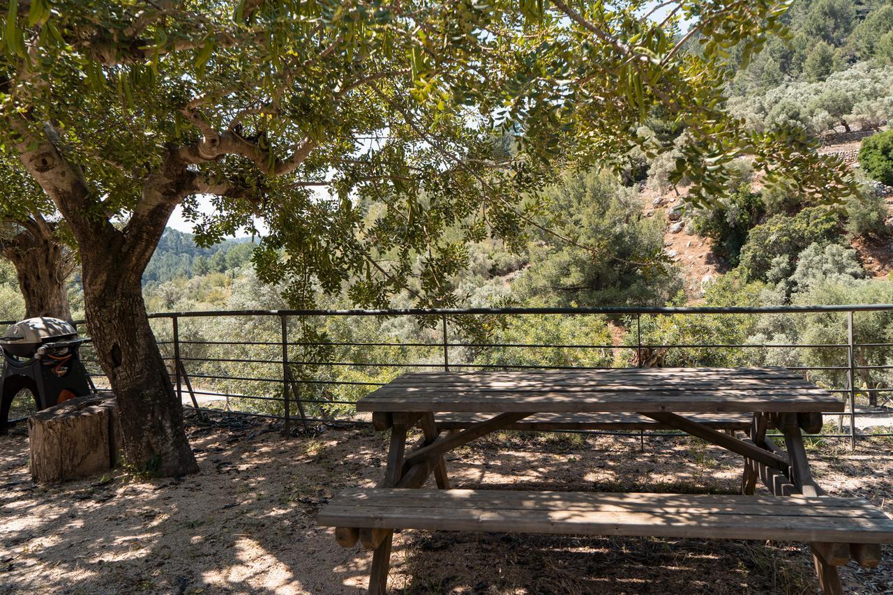Alfabia Nou Farm stay